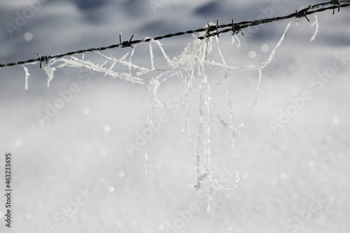 Frozen Threads On Barbed Wire