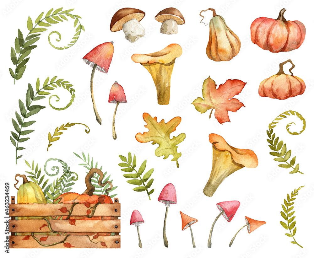 Set of watercolor hand painted autumn elements isolated on white ...