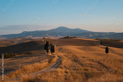 Behang tuscany sunset of the movie the gladiator wheat field scene