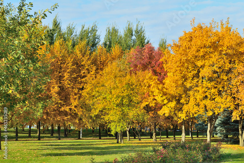 Beautiful park in autumn