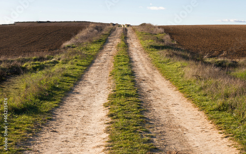 Used dirt road in rolling countryside between newly plowed farmland in autumn 
