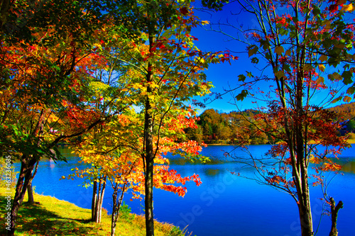 Autumn leaves of Tateshina, Hemako Lake Lake