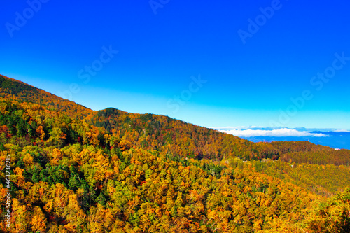 Autumn leaves of Yatsugatake and Asama Mountains in the sea area