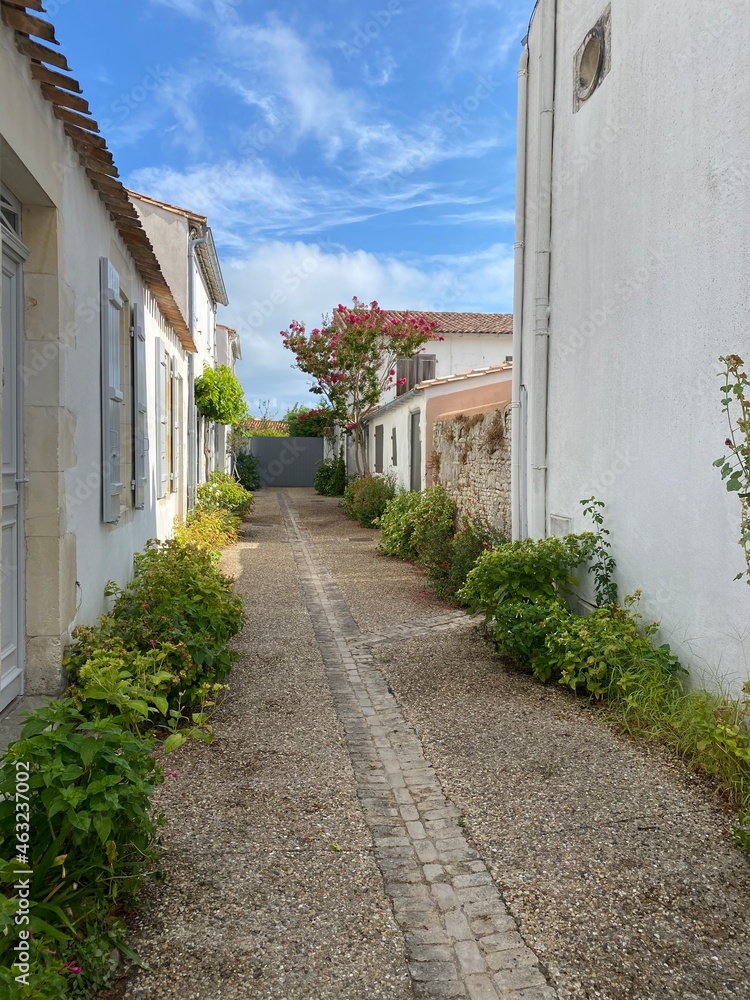 Fototapeta premium ruelle de l'ile de ré