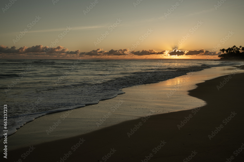 sunset on sandy beach waves coming to shore golden glow and reflection of sun on sand white foamy waves coming into shore and receding leaving wet sand reflecting sunrise