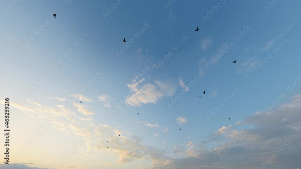 4k Ultra HD 3840x2160. Sky Time lapse, Beautiful background, Sky Timelapse of skyscrapers, Sunset sky with clouds and sun, Clouds At Sunrise.
4k Ultra HD 3840x2160. Sky Time lapse, Beautiful background, Sky Timelapse of skyscrapers, Sunset sky with clouds and sun, Clouds At Sunrise.