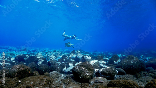 Snorkeling girl swimming with turtle underwater