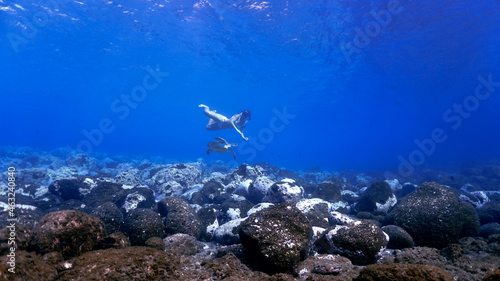 Girl swimming with turtle underwater © Johan