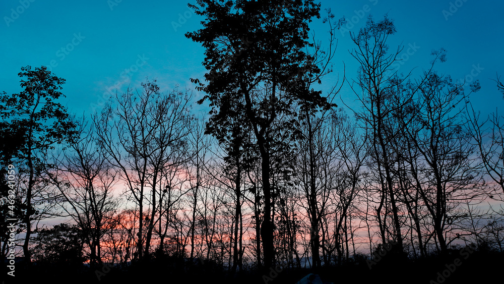 Landscape of beautiful twilight sky behind woods. Landscape of beautiful twilight sky behind woods.