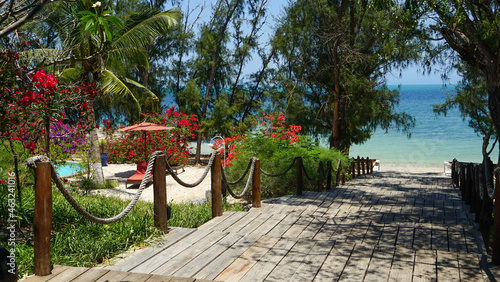Photo of beautiful beach and ocean and green trees.
