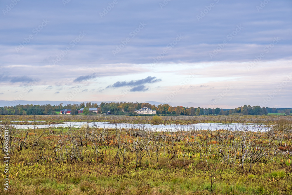 Fototapeta premium View at a wetland with a manor house in the background