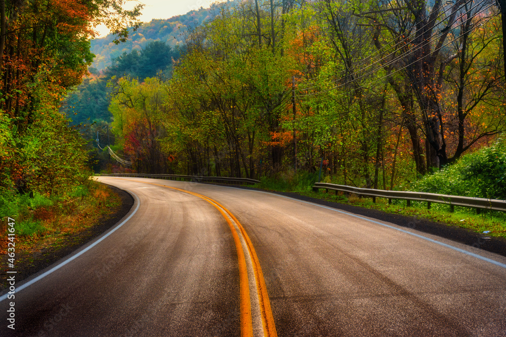 The newly laid blacktop shines in the morning sun. Autumn colors start to show and contrast with the brightness of this freshly laid asphalt road. The newly laid blacktop shines in the morning sun. Autumn colors start to show and contrast with the brightness of this freshly laid asphalt road.