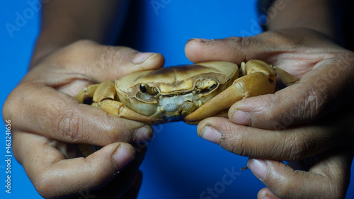 Kid holding mud crab in hand.