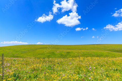 Green grass and blue sky with white clouds background.