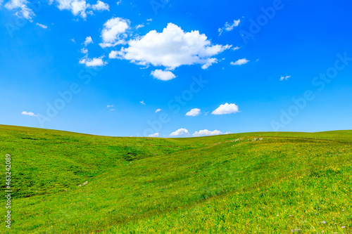 Green grass field with blue sky background.Green grassland landscape in Xinjiang China.