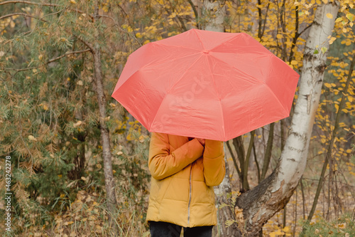 Young woman in an autumn park with red an umbrella  spinning and holding an umbrella  autumn walk in a yellow October park