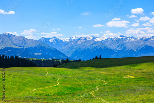 Green grass and mountain with blue sky background.Green grassland landscape in Xinjiang,China.