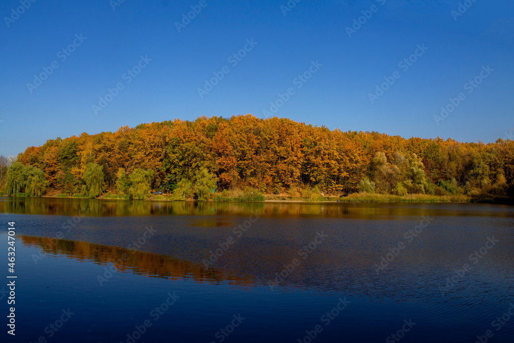 autumn trees reflected in lake