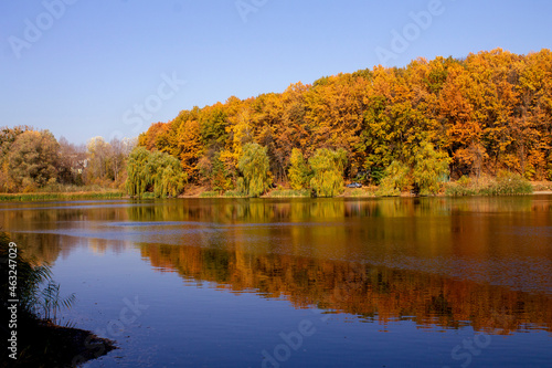 autumn trees reflected in water