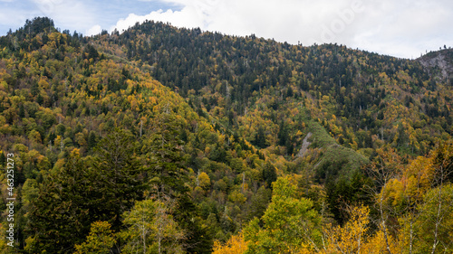 Smoky Mountains National Park  Tennessee  USA