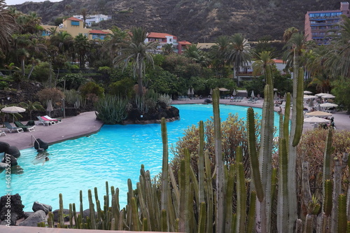 Kakteen  Sukkulenten  Wolfsmilchgew  chs  Spanien  La Palma  Pool  Hotel  Garten