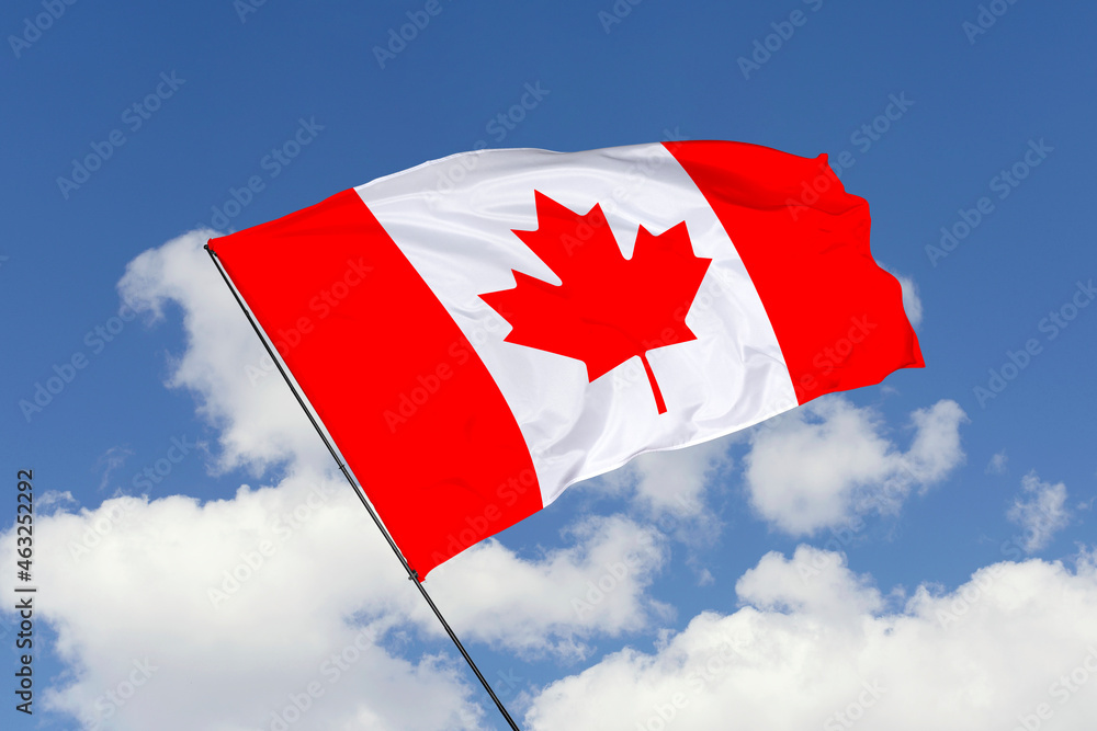 Fototapeta premium Canada flag isolated on the blue sky background. close up waving flag of Canada. flag symbols of Canada. Concept of Canada.