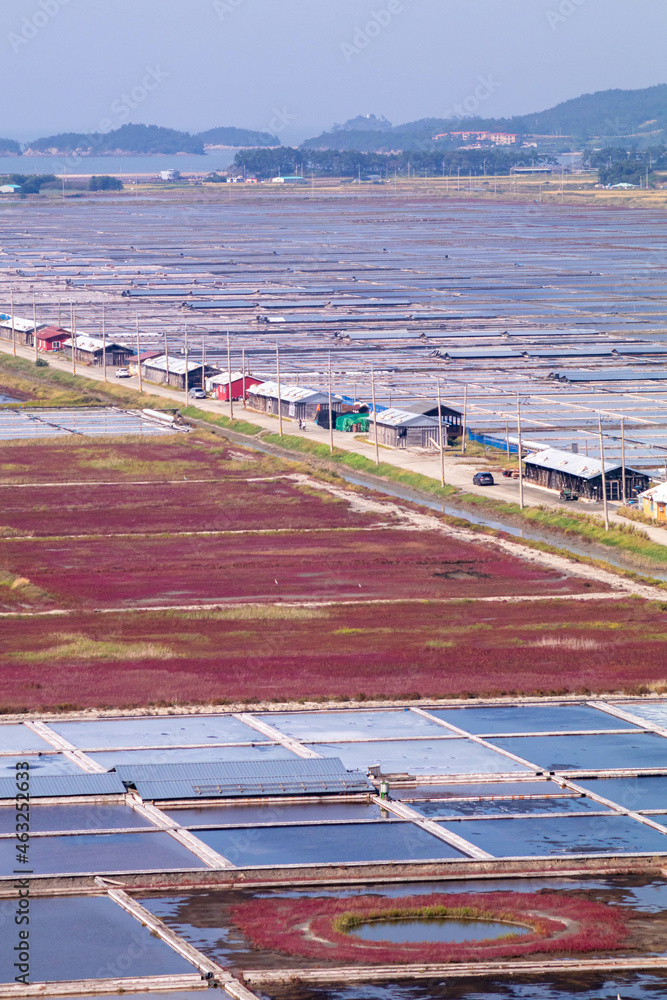 Obraz premium 염전 鹽田, saltern