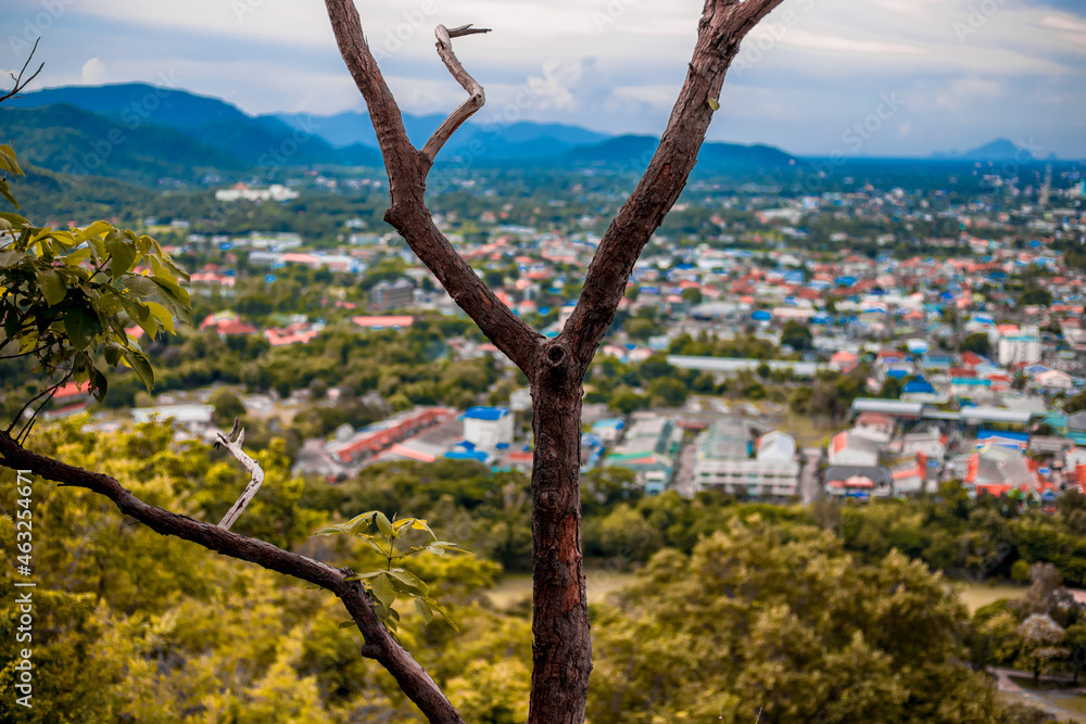 The view of the natural background of the mountain close-up, with blurred fog scattered in the rainy season or the humid climate, with beautiful green trees in the ecological system The view of the natural background of the mountain close-up, with blurred fog scattered in the rainy season or the humid climate, with beautiful green trees in the ecological system