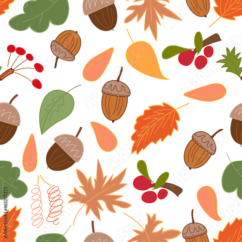 autumn foliage and berryes vector seamless pattern © sachch