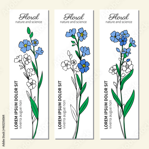 Forget me not flowers isolated on white backdrop, vertical banner, labes, hand drawn doodle vector sketch herbal vintage graphic line art for card, sticker, invitation, wedding design, cosmetic