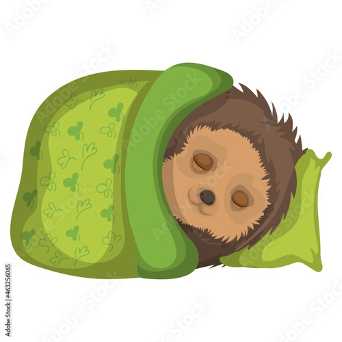 The hedgehog sleeps under a green blanket.Cute forest animal. Winter hibernation of hedgehogs.Time for bed.Cartoon vector illustration.