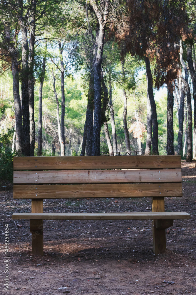 banco en medio de un bosque en una dehesa banco en medio de un bosque en una dehesa