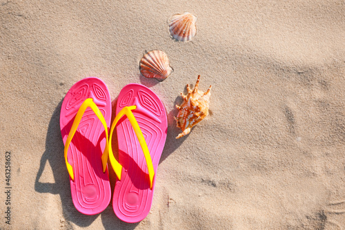 Stylish flip flops and sea shells on beach, flat lay