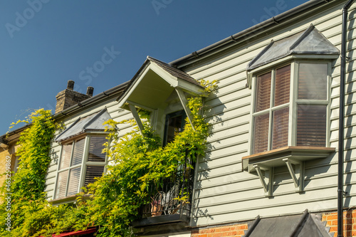 British house with balcony covered by dense foliage and bay windows at Saffron Walden, England © Haris Photography