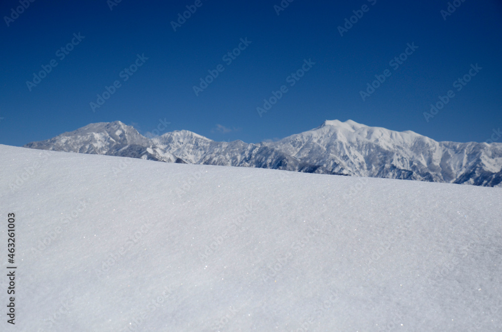 Obraz premium 雪原と山