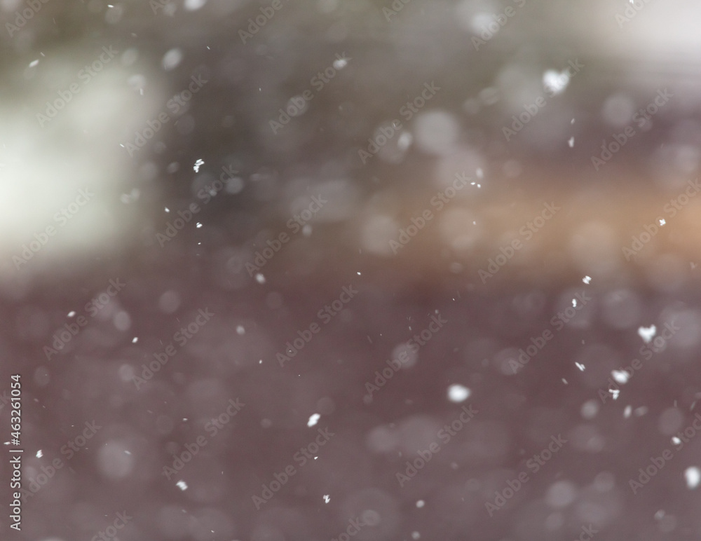 Obraz premium Snow in flight in winter.