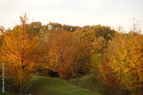 Autumn landscape photo of high quality