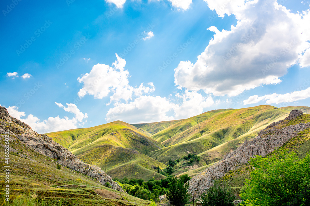 Obraz premium Beautiful highlands nature landscape in summer. Panoramic view of the mountains in the distance, blue clouds over the mountains. Long banner of mountain panorama.