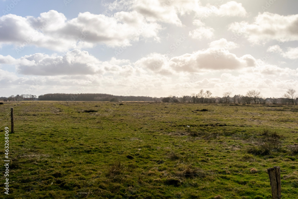 Obraz premium vineyard in the summer