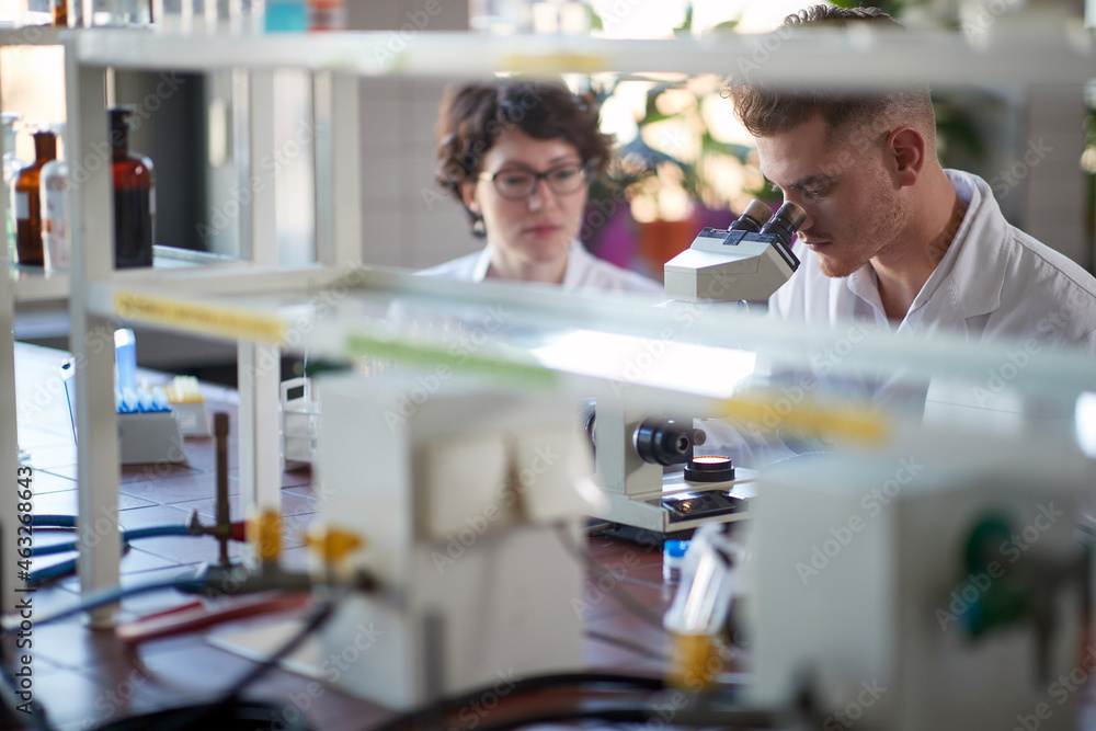 Obraz premium A young male chemistry student looking through a microscope in a laboratory. Science, chemistry, lab, people