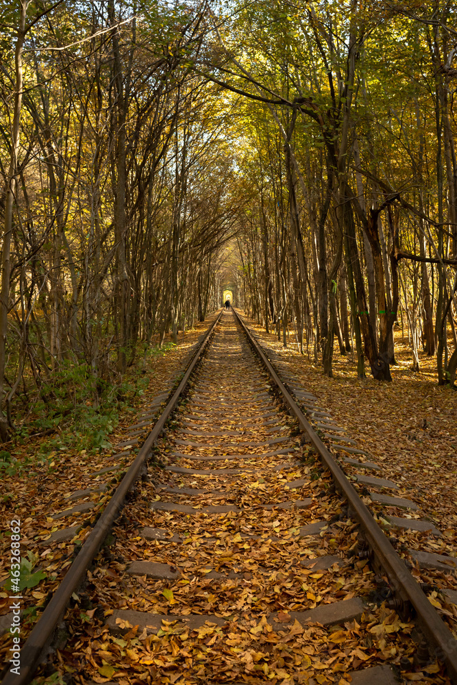 Autumn railway. Traveling by train. The rails go into the distance. Sleepers and rails. Parallel lines in perspective. Walk along the railway track. Tourism in Europe. Fresh air. Colorful leaf fall.