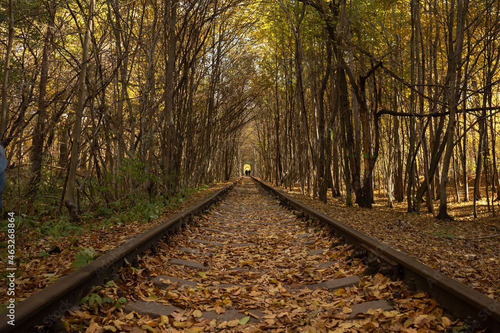 Autumn railway. Traveling by train. The rails go into the distance. Sleepers and rails. Parallel lines in perspective. Walk along the railway track. Tourism in Europe. Fresh air. Colorful leaf fall. Autumn railway. Traveling by train. The rails go into the distance. Sleepers and rails. Parallel lines in perspective. Walk along the railway track. Tourism in Europe. Fresh air. Colorful leaf fall.