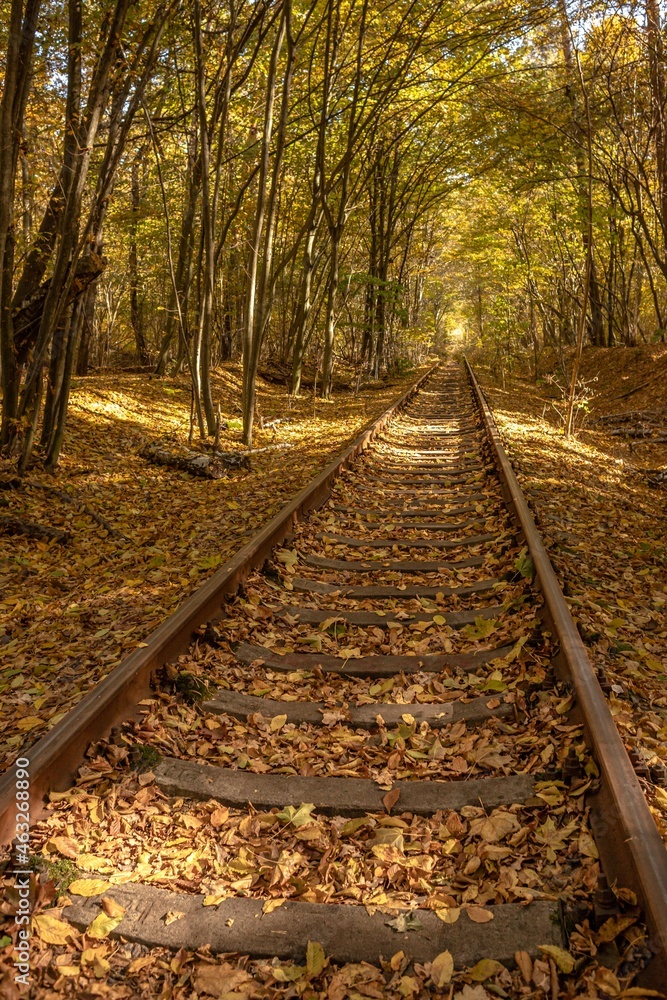 Autumn railway. Traveling by train. The rails go into the distance. Sleepers and rails. Parallel lines in perspective. Walk along the railway track. Tourism in Europe. Fresh air. Colorful leaf fall. Autumn railway. Traveling by train. The rails go into the distance. Sleepers and rails. Parallel lines in perspective. Walk along the railway track. Tourism in Europe. Fresh air. Colorful leaf fall.