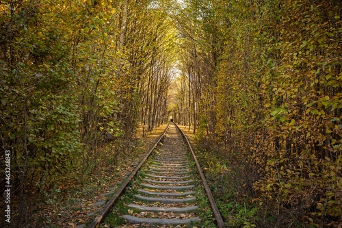 Autumn railway. Traveling by train. The rails go into the distance. Sleepers and rails. Parallel lines in perspective. Walk along the railway track. Tourism in Europe. Fresh air. Colorful leaf fall.