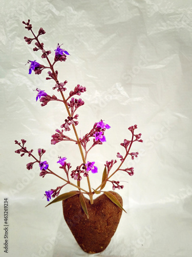 A flowers in a clay heart vase