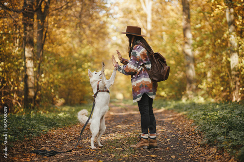 Stylish woman in hat with backpack training cute dog in sunny autumn woods. Young female hipster giving five to swiss shepherd white dog. Travel and hiking with pet. Teamwork © sonyachny