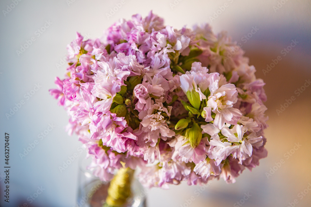 flowers in vase