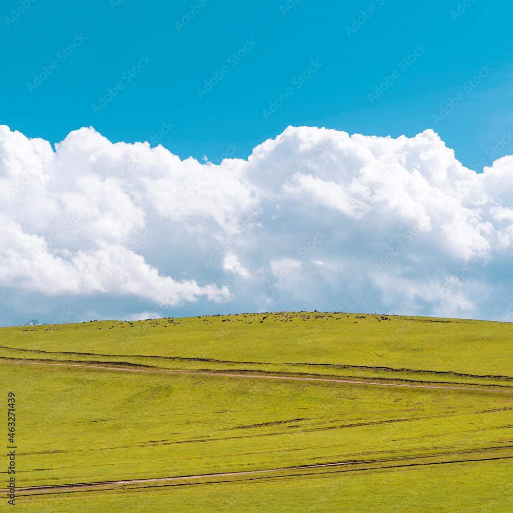 Obraz premium Green hill with dirt roads and fluffy clouds over it. Animals grazing on the top of the hill.