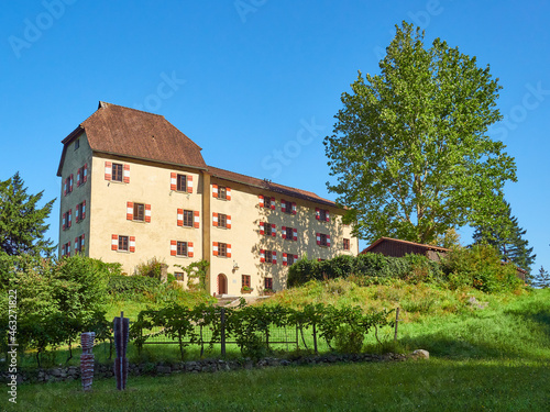 Wallpaper Mural Schloss Amberg, Feldkirch, Vorarlberg, Austria Torontodigital.ca