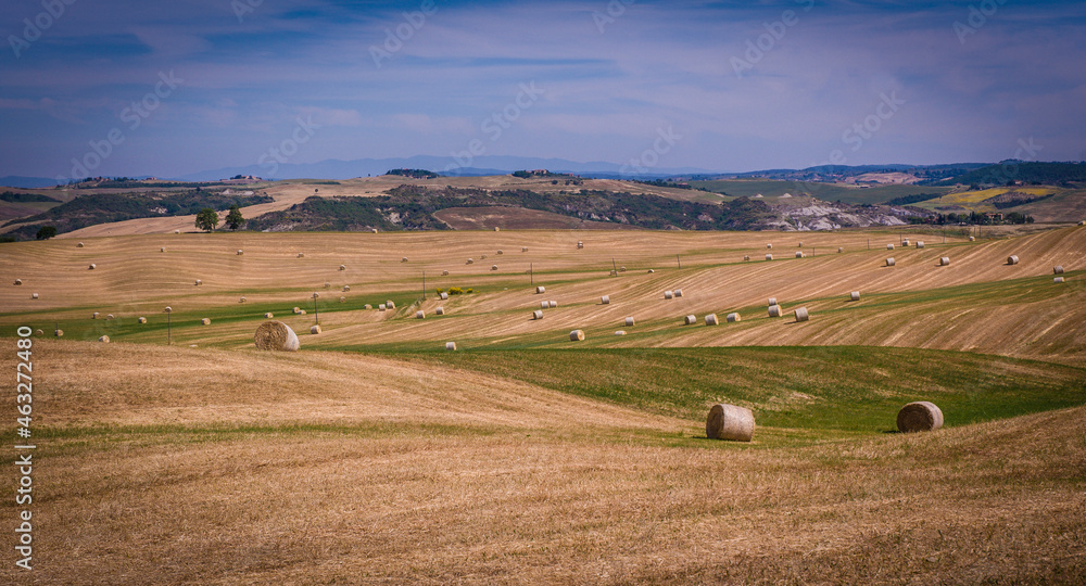 Hay bales in Tuscany Orcia valley,Italy.